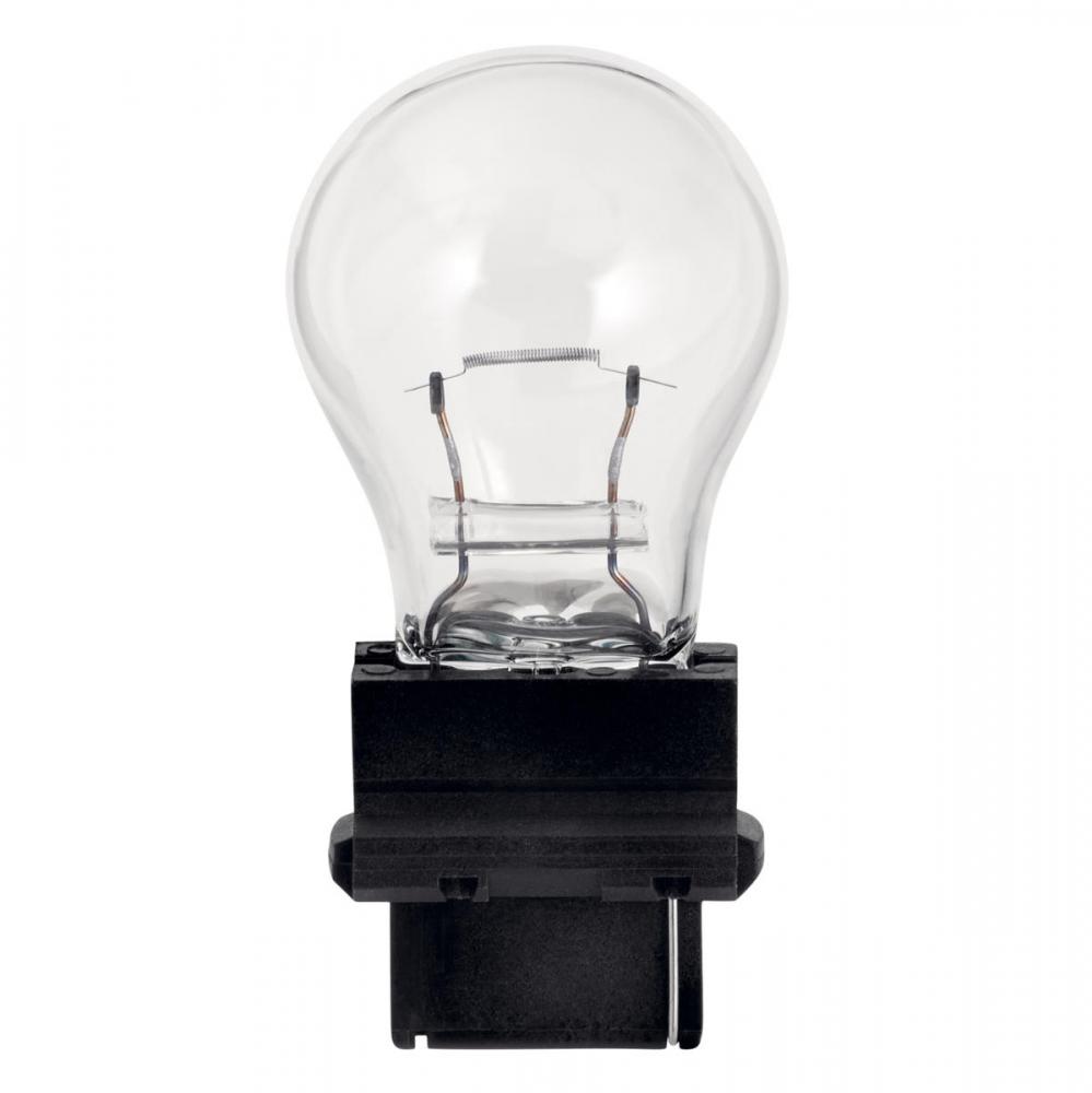 landscape light bulb 3156