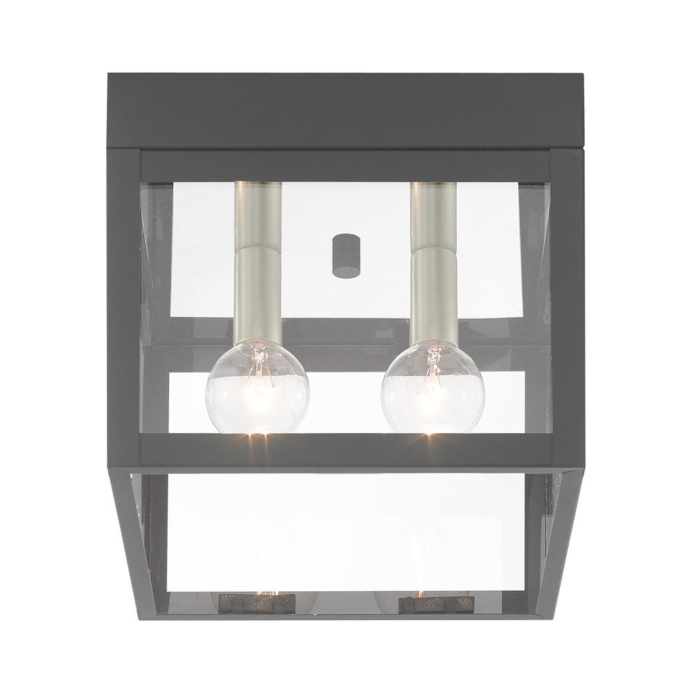 2 Lt Scandinavian Gray Outdoor Ceiling Mount