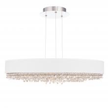 Schonbek 1870 S6329-401RS1 - Eclyptix LED 29in 3000K/3500K/4000K 120V-277V Pendant in Polished Stainless Steel with Clear Radia