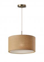 Adesso 4003-21 - Harvest Large Pendant