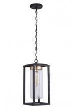 Craftmade ZA4821-MNSB - Neo 1 Light Outdoor Pendant in Midnight/Satin Brass