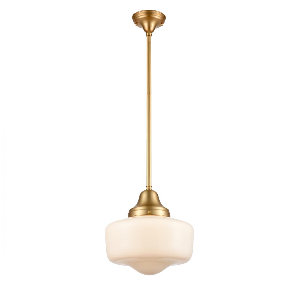 enclosed pendant light