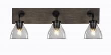 Toltec Company 1773-MBDW-4760 - Bathroom Lighting